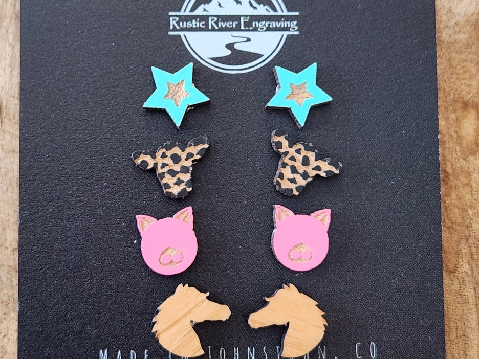 Kids Western Stud Earing Set