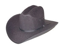 Western Express Faux Felt Cowboy Hat