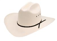 Western Express Straw Cattlemans Cowboy Hat